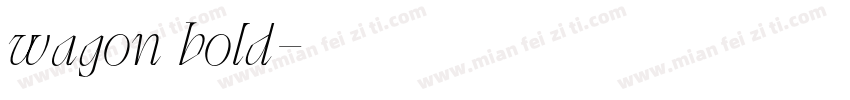wagon bold字体转换